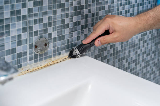 Best Mold Removal Near Me  in Thief River Falls, MN