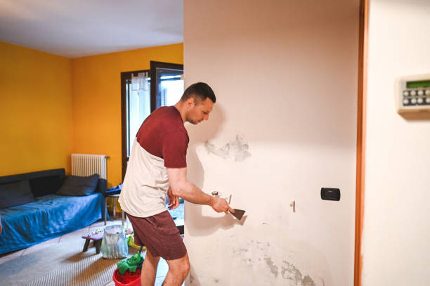 Certified Mold Removal in Thief River Falls, MN